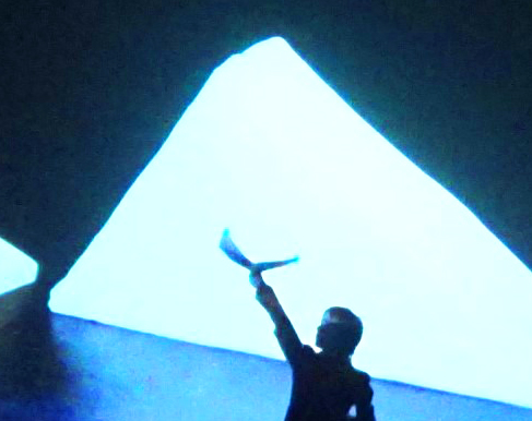 l&rsquo;oiseau volé